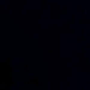 Meet your Posher, Blake